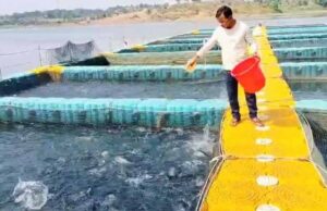 फिशरी साइंस के छात्र रहे गंगाधर मछली पालन से बने लखपति, प्रधानमंत्री मत्स्य सम्पदा योजना का लाभ लेकर शुरू किया मत्स्य पालन