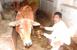 मनरेगा से बना पशु शेड देवीराम के जीवन में आई खुशहाली