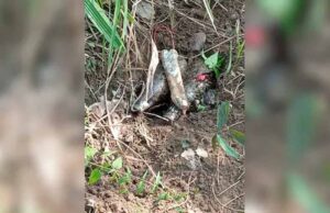 सीआरपीएफ 168 बटालियन एवं थाना बासागुड़ा की टीम ने 8 IED बरामद कर किया नष्ट