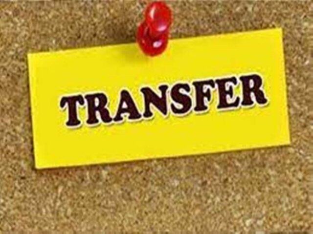 transfar-1.jpg