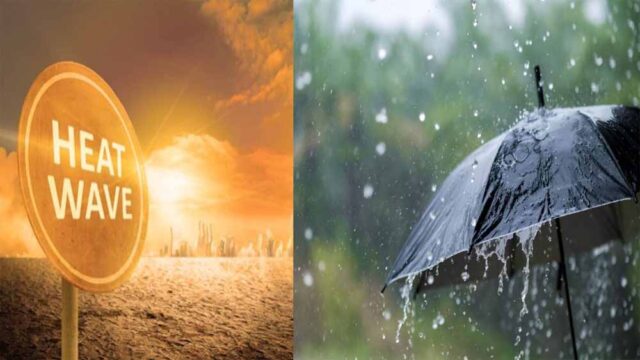 barish1-4.jpg