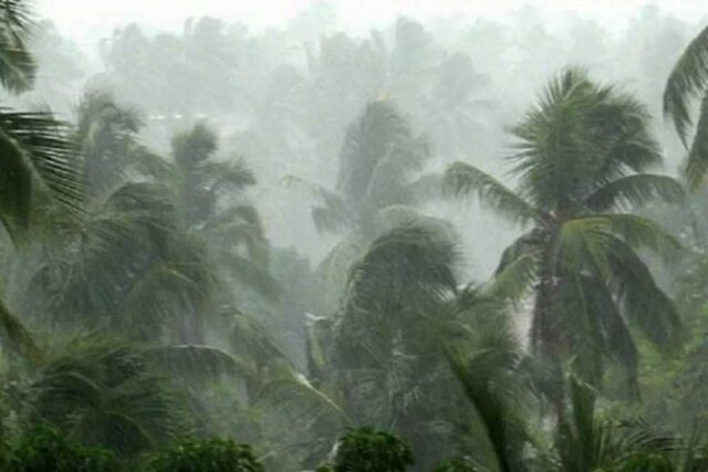 rain_A_41_1-1.jpg