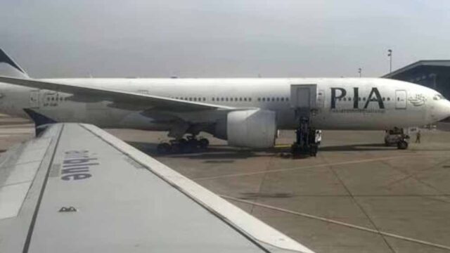 pia.jpg
