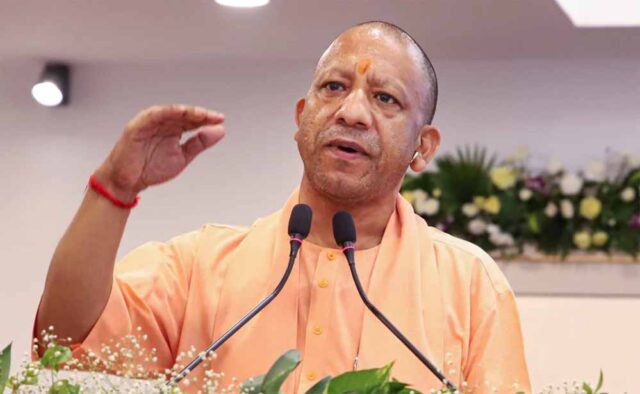 yogi1-9.jpg