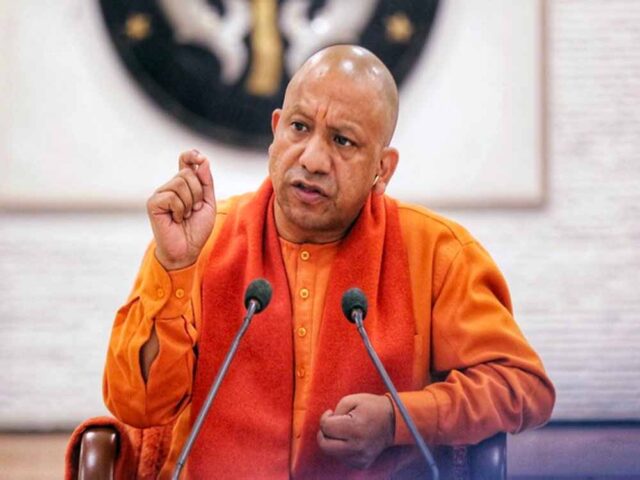 yogi2-3.jpg