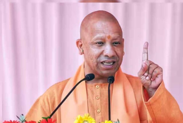 yogi_cm_132_1-6.jpg