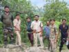 वन क्षेत्र में बाघ की दस्तक : पैरों के निशान मिले, ग्रामीणों को सतर्क रहने की अपील
