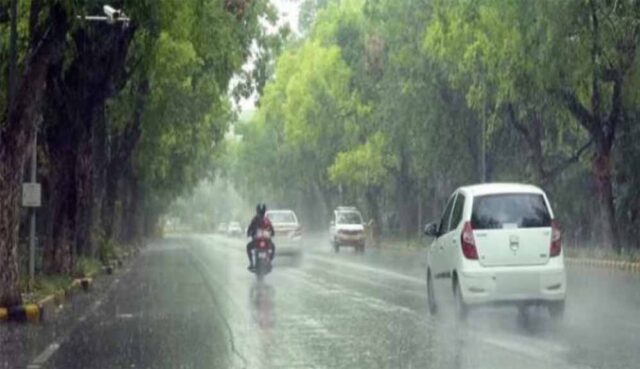 barish8-15.jpg