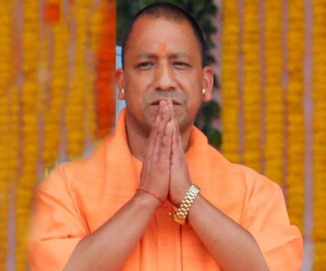 yogi-11.jpg