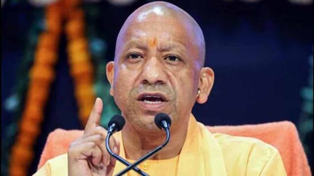 yogi1-10.jpg
