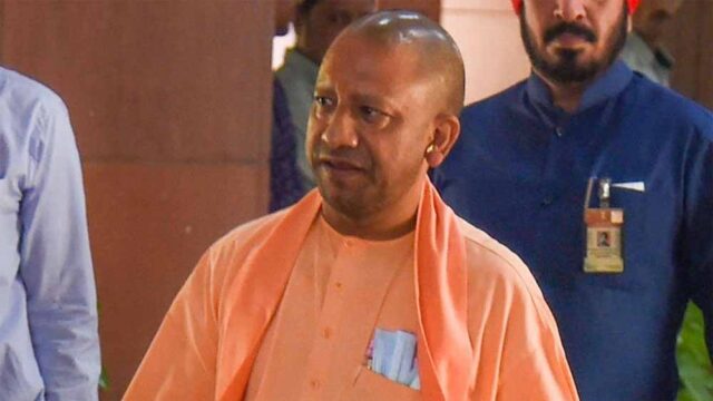 yogi1-14.jpg