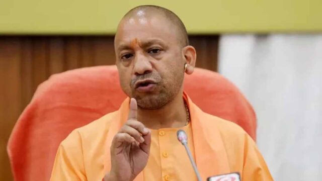 yogi1-16.jpg