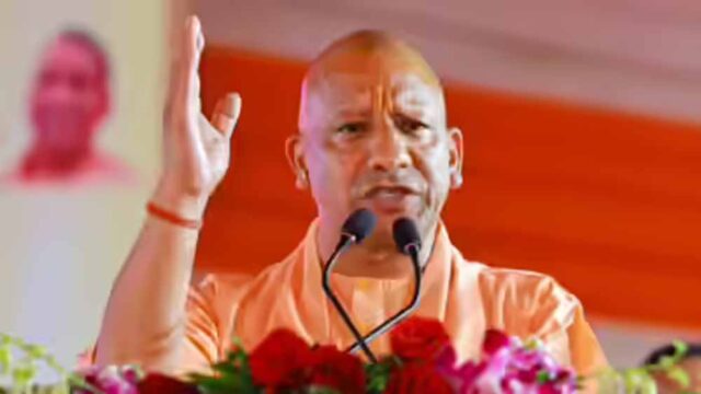 yogi1-17.jpg
