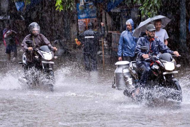 barish4-1.jpg