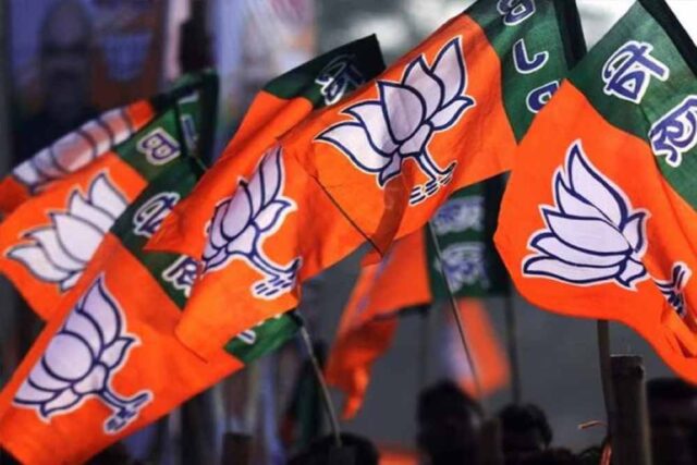 bjp1-5.jpg