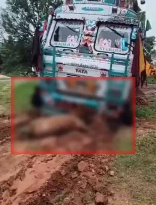 truk1.jpg