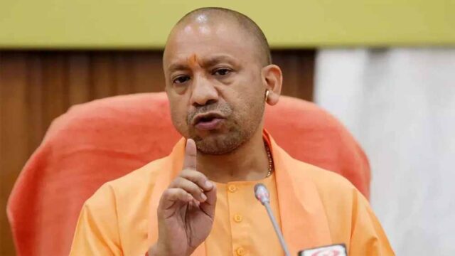 yogi4-1.jpg