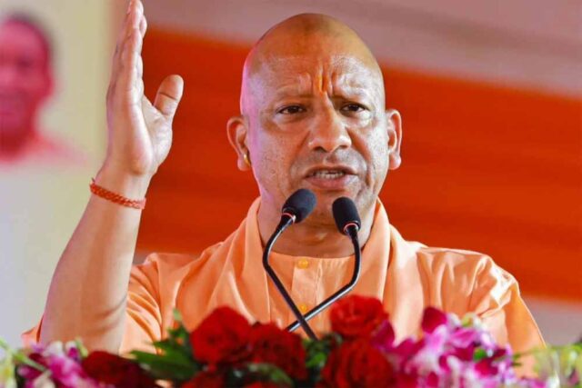 yogi4-10.jpg
