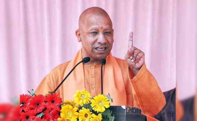 yogi6-2.jpg