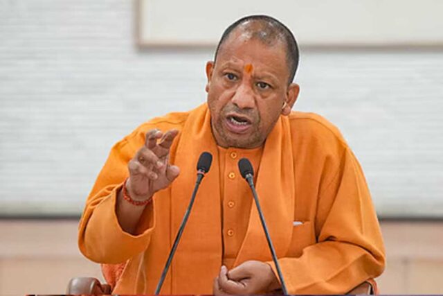 yogi_A_83_2-3.jpg
