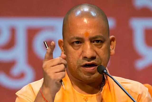 yogi_cm_132_3-2.jpg