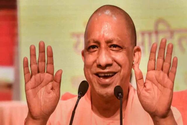 yogi_cm_132_5.jpg