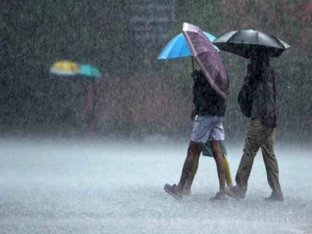 barish1-1.jpg
