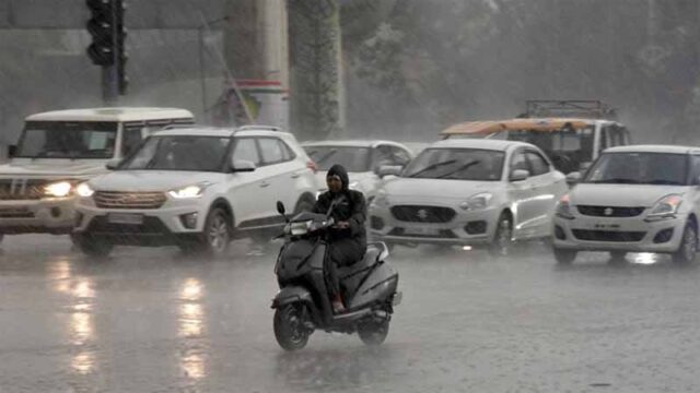 barish1-2.jpg