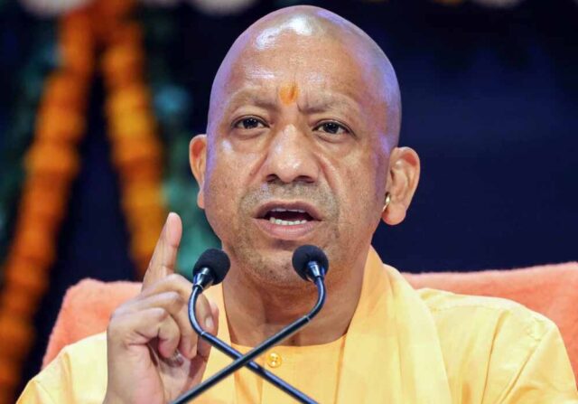 yogi1-16.jpg