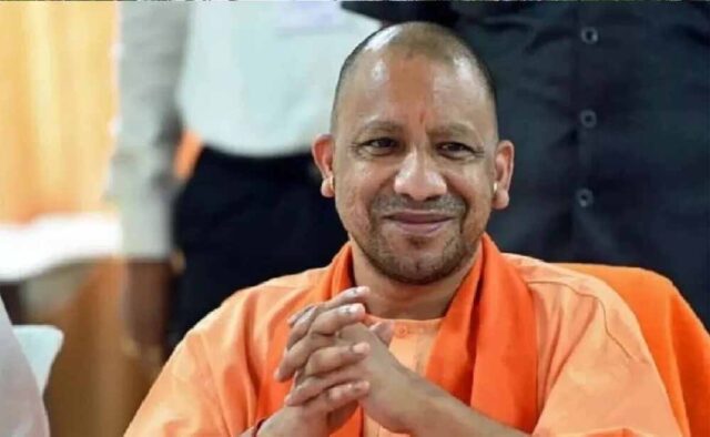 yogi1-2.jpg