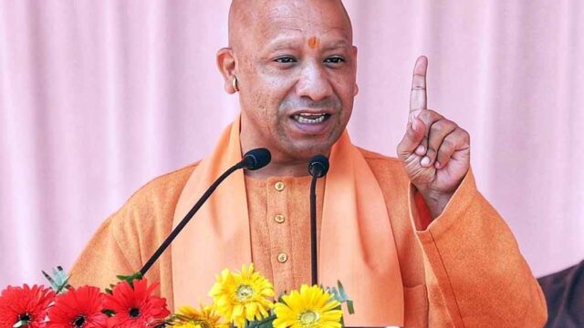 yogi4.jpg