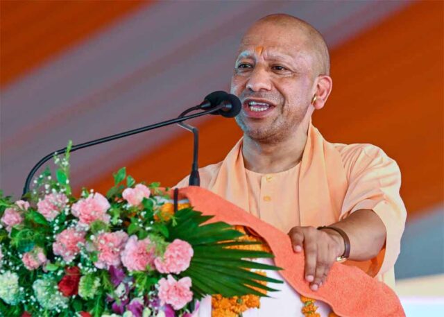 CM_yogi_01-4.jpg