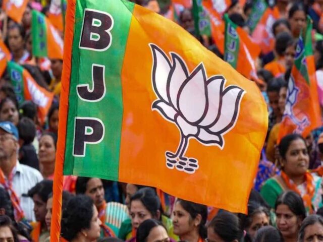 bjp1-5.jpg