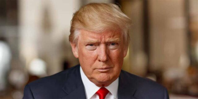 donald1-3.jpg