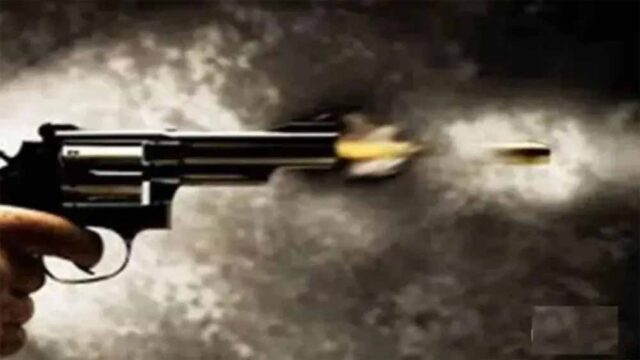 goli-3.jpg
