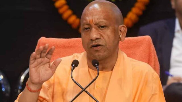 yogi1-16.jpg