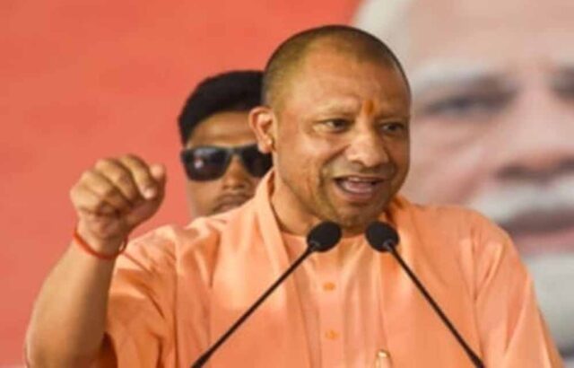 yogi1-2.jpg