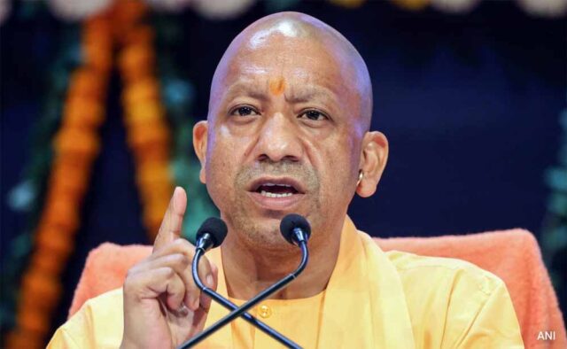 yogi4-6.jpg