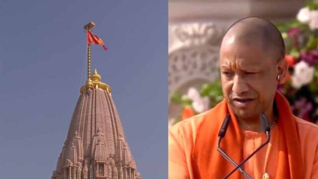 yogi4-9.jpg