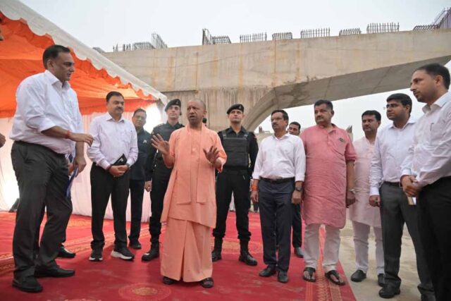 yogi6.jpg