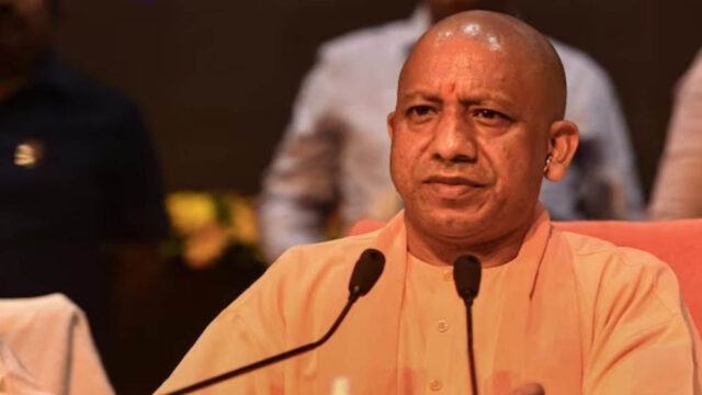 yogi_100-2.jpg