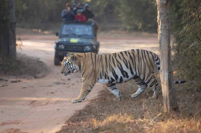 badhavgad2.jpg