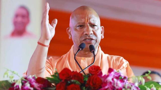 yogi1-6.jpg