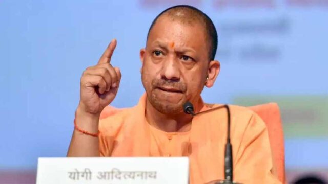 yogi7-2.jpg