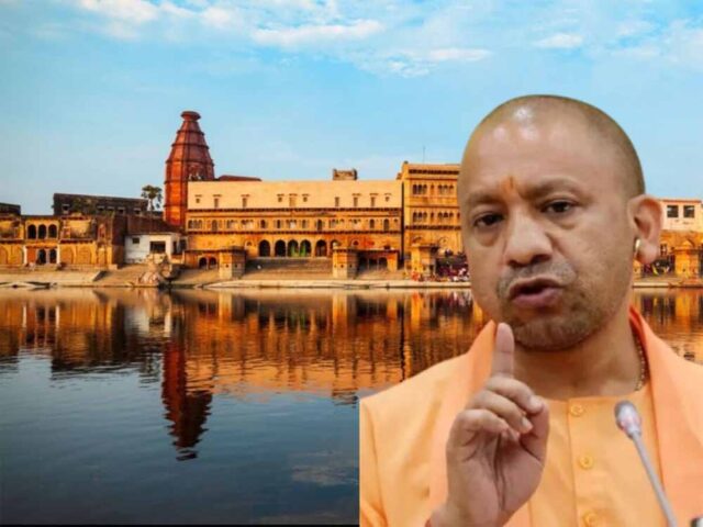 yogi7.jpg