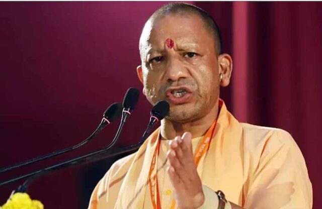 yogi_60_2-2.jpg