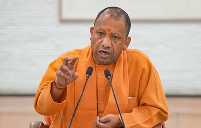 yogi_d_93_2-8.jpg