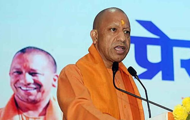 yogi_d_93_3-2.jpg