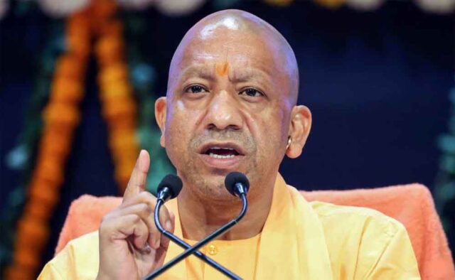 yogi1-2.jpg