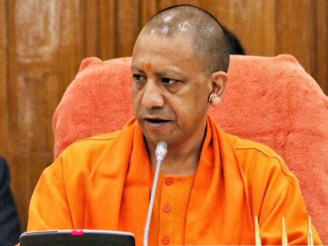 yogi3.jpg
